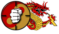 DragonBlast Martial Arts Equipment